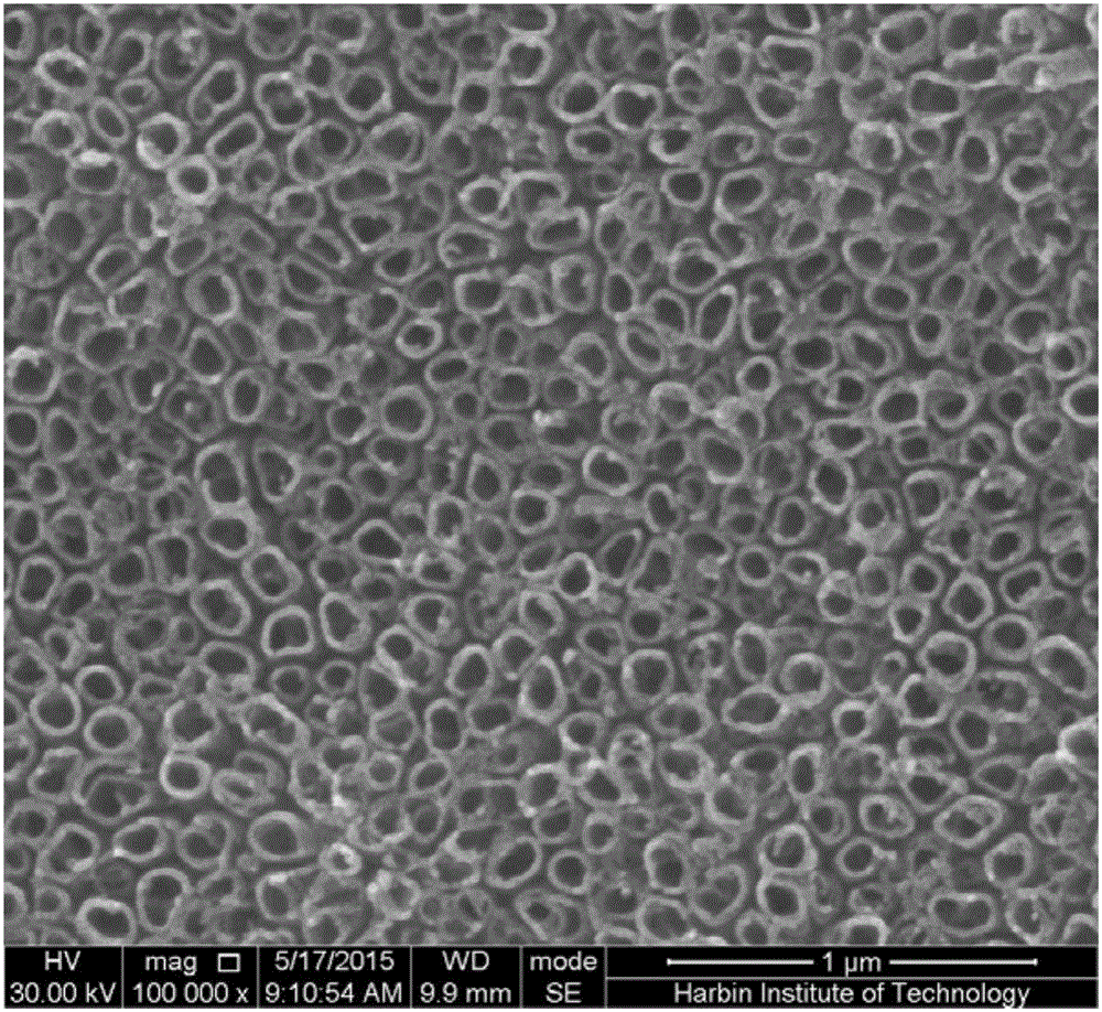 Method of preparing titania nanotube/carbon/manganese oxide composite material by using gaseous penetration method