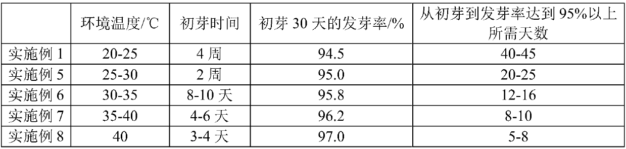 Berry seed sowing and reproducing method