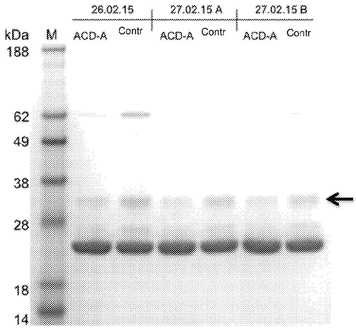 Use of citrate solution for affinity chromatographic purification of CRP using phosphocholine and derivatives thereof