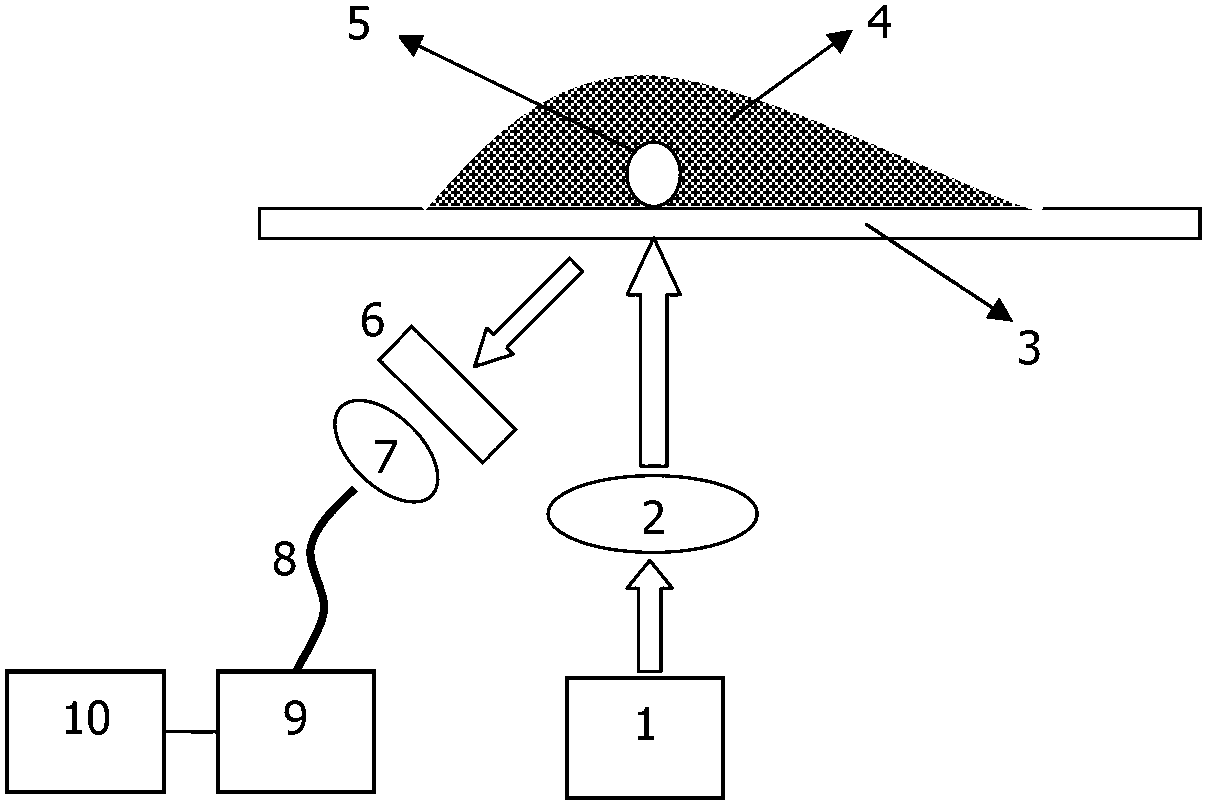 Measurement method of pulse laser powdery substance element based on polarization and noise reduction