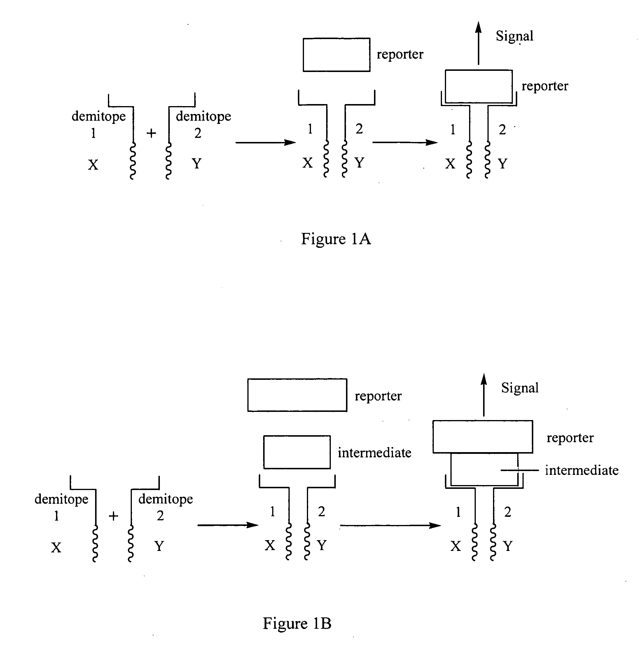 Real time detection of intermolecular interaction