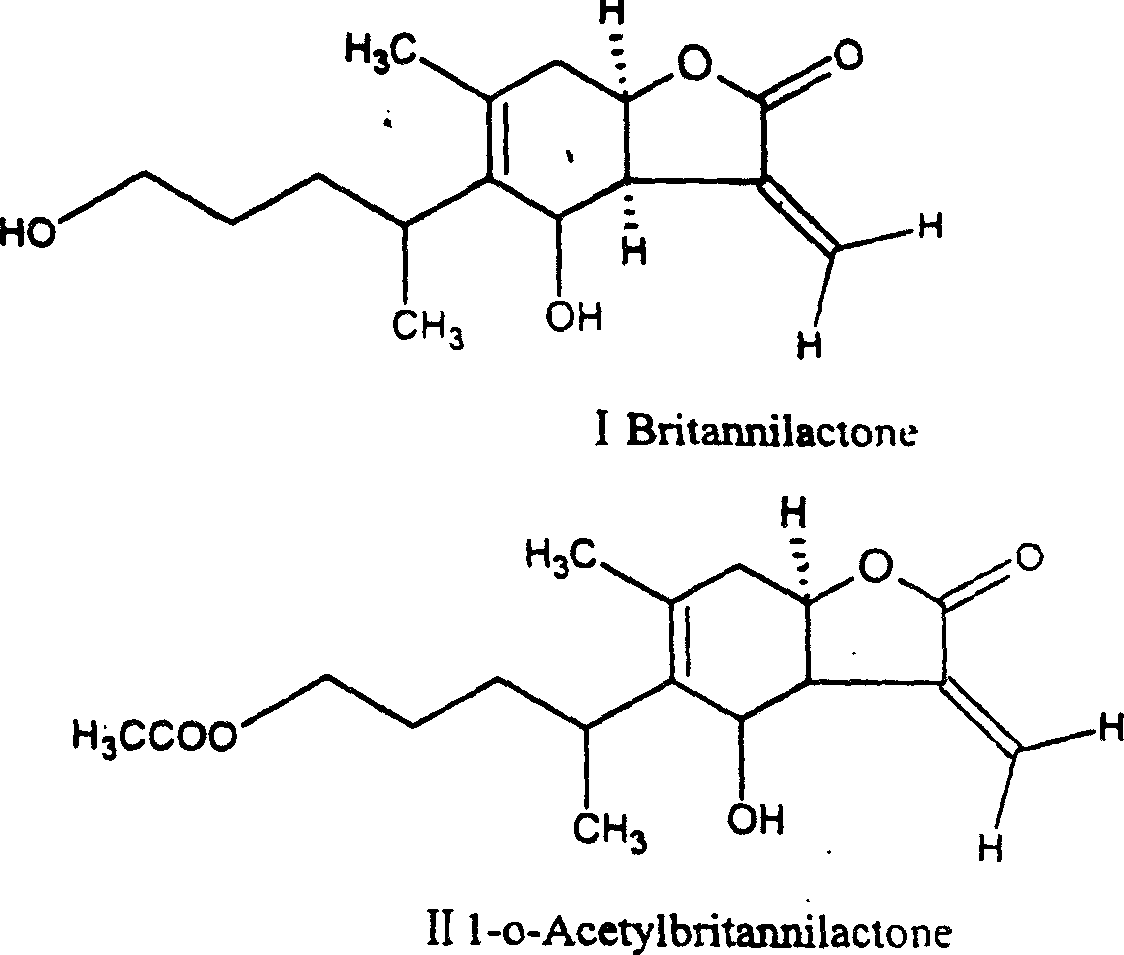 Pharmaceutical application of derivant of benzofuran-ketone