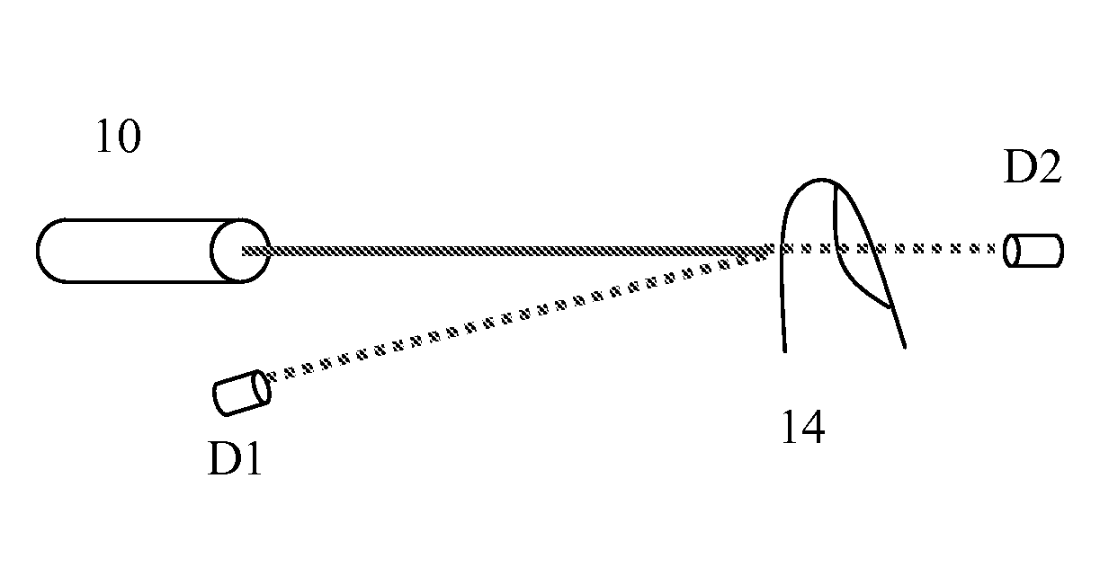 System and Method for In Vivo Measurement of Biological Parameters