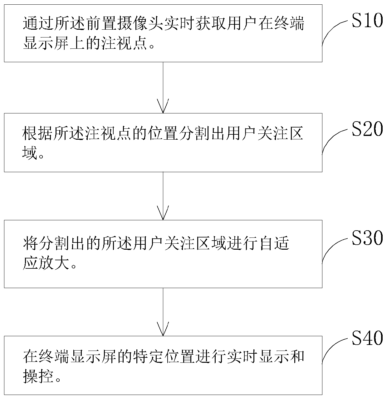 Terminal self-adaptive amplification display method and system based on sight line tracking and terminal