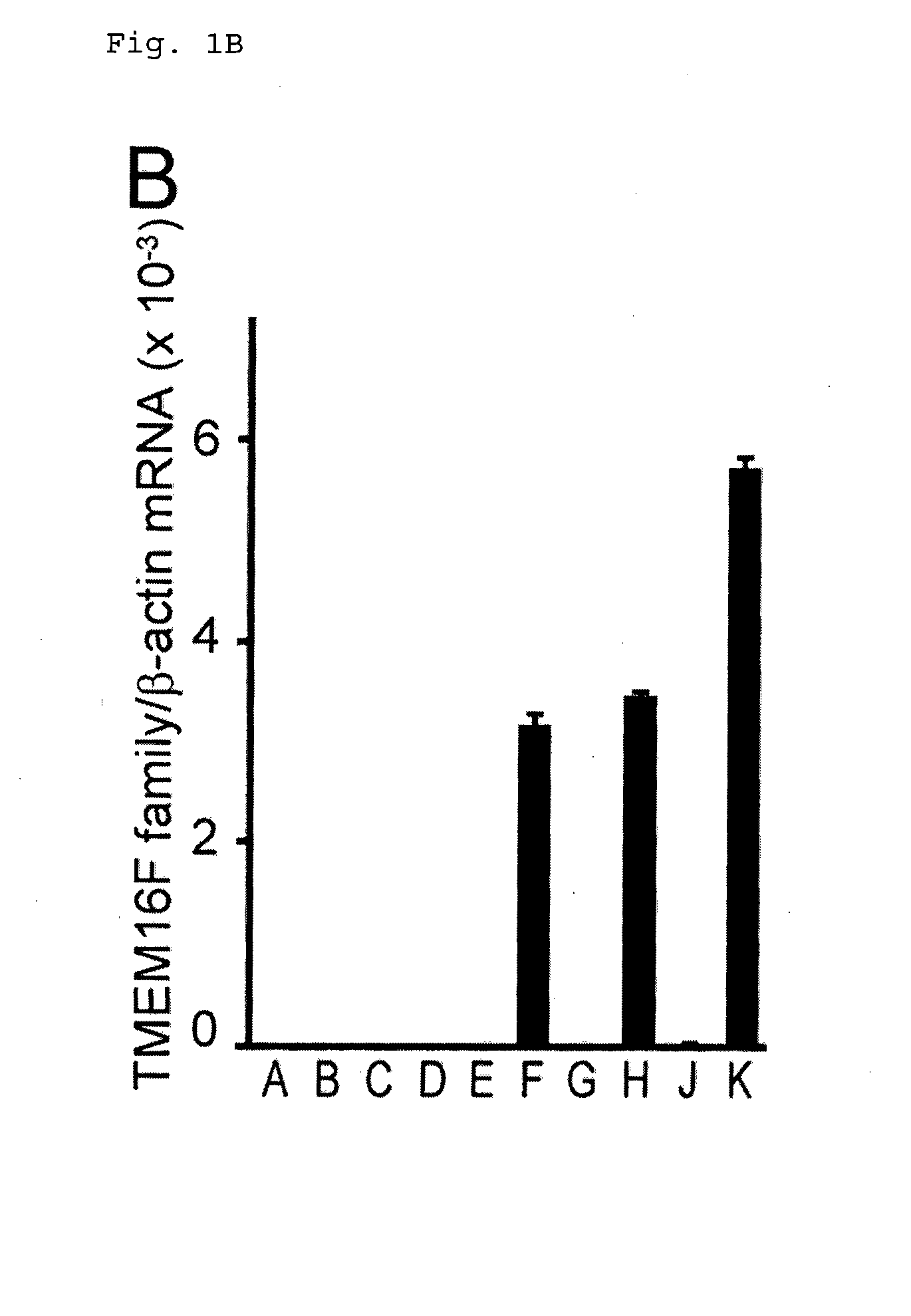 Method for screening a modulator of a tmem16 family member