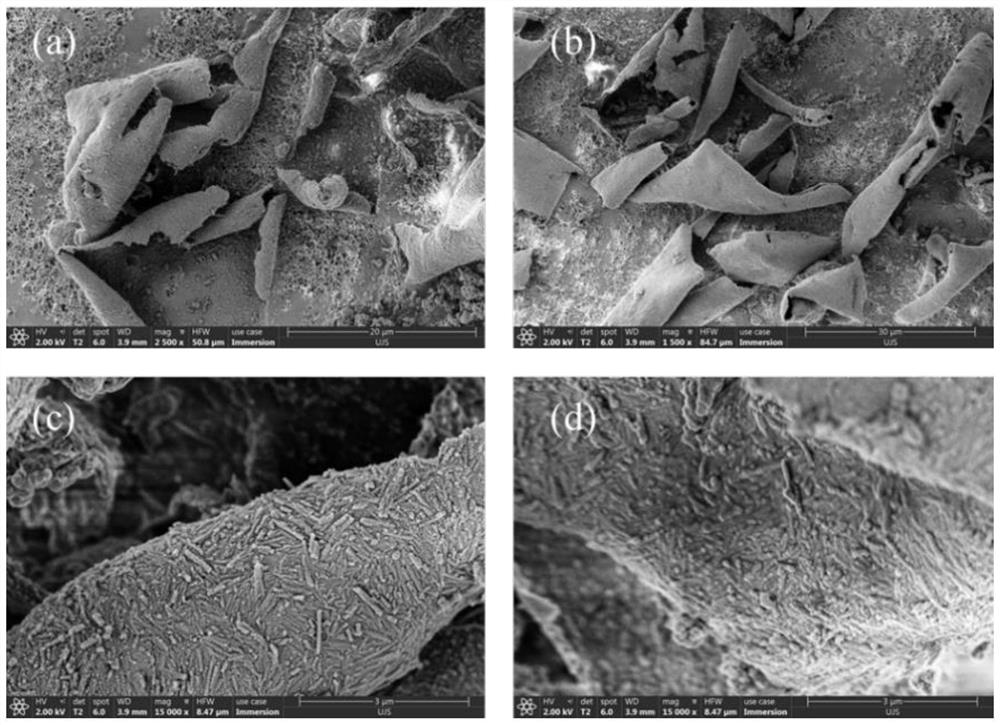 Method for preparing crown ether functionalized nanosheet through one-step Pickering double-emulsion method and lithium extraction application of crown ether functionalized nanosheet