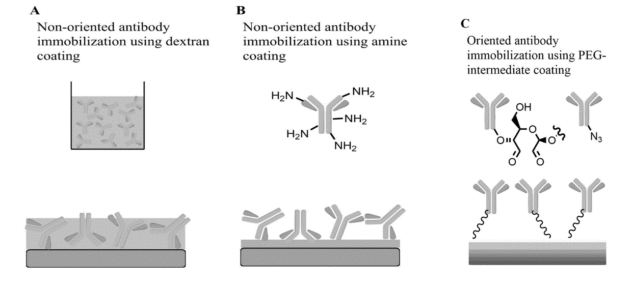 Medical devices coated with polydopamine and antibodies