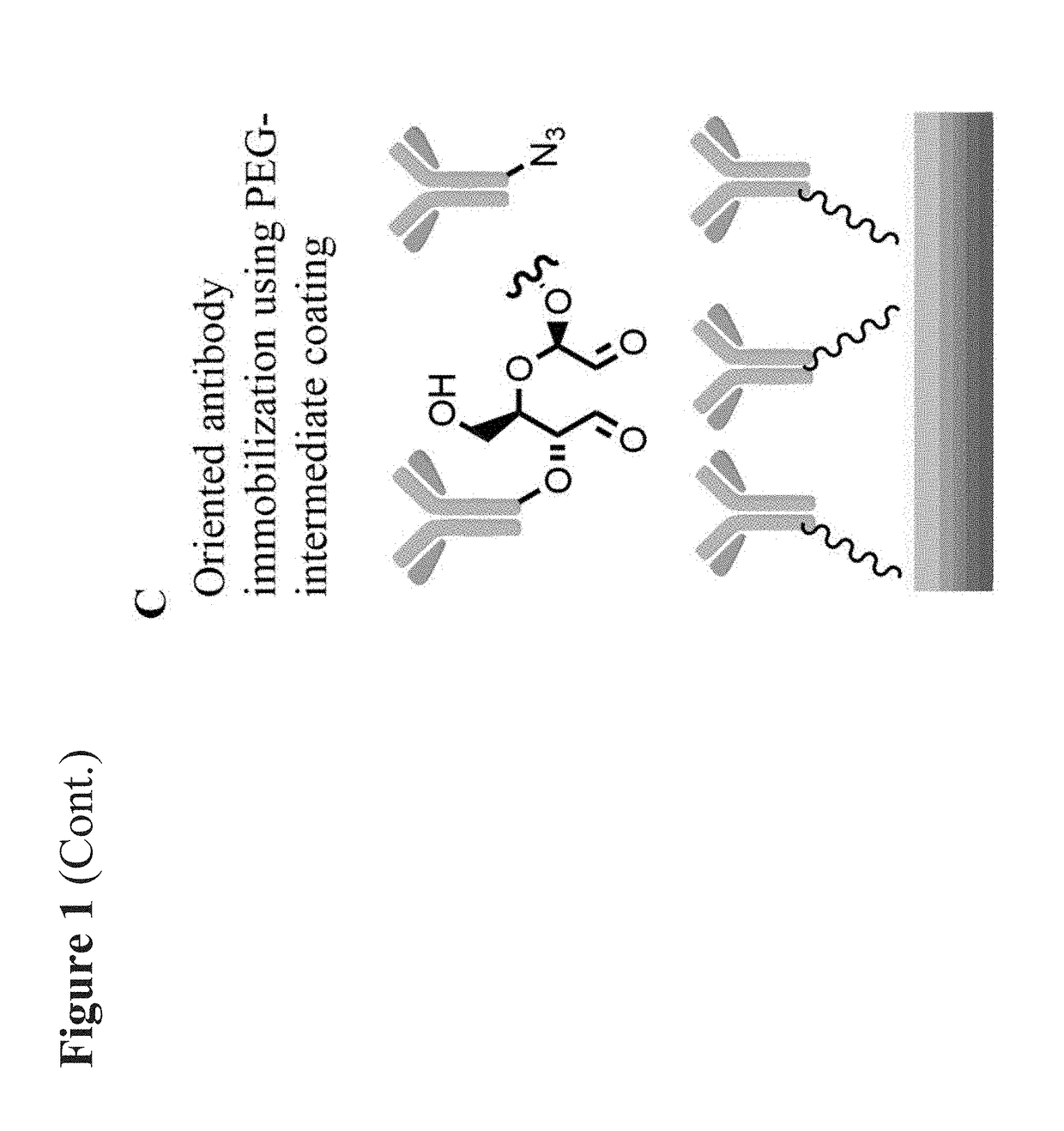 Medical devices coated with polydopamine and antibodies