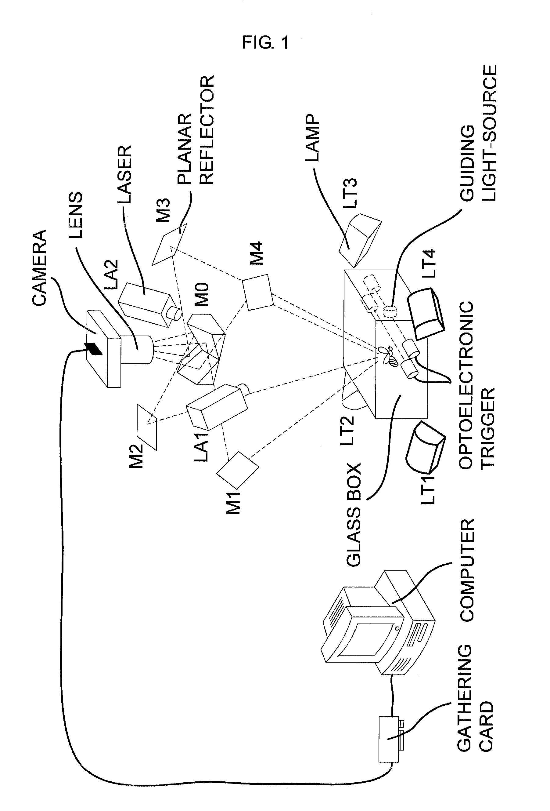 Methods and apparatus for measuring the flapping deformation of insect wings
