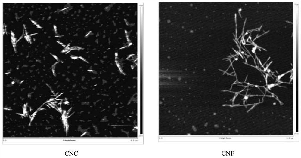 Method for simultaneously preparing cellulose nanocrystals and cellulose nanofibers from oil-tea camellia husk