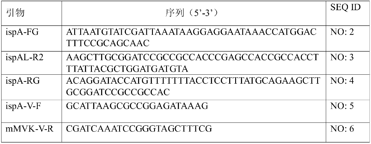 Escherichia coli for producting farnesene