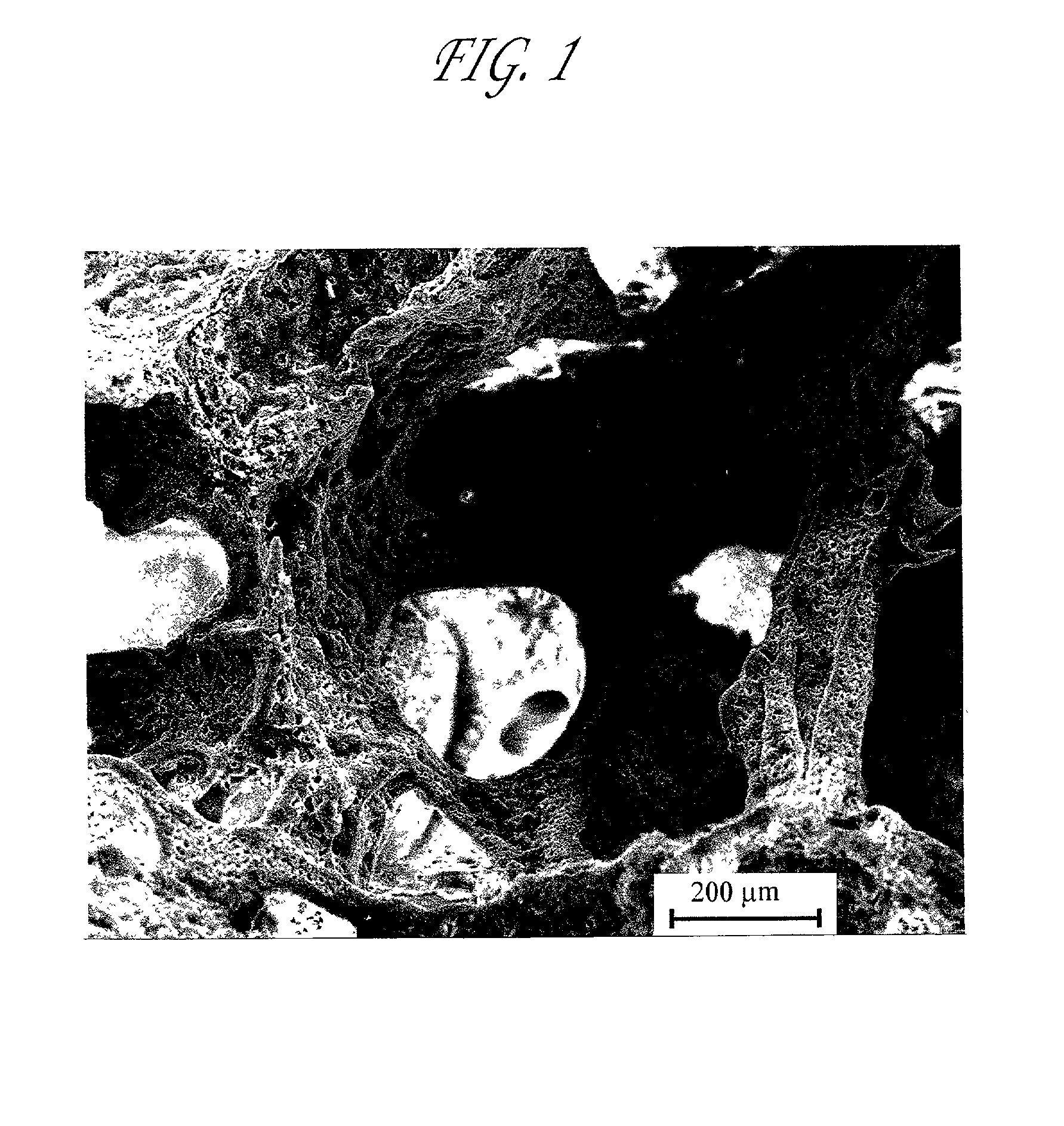 Biologically active composites and methods for their production and use
