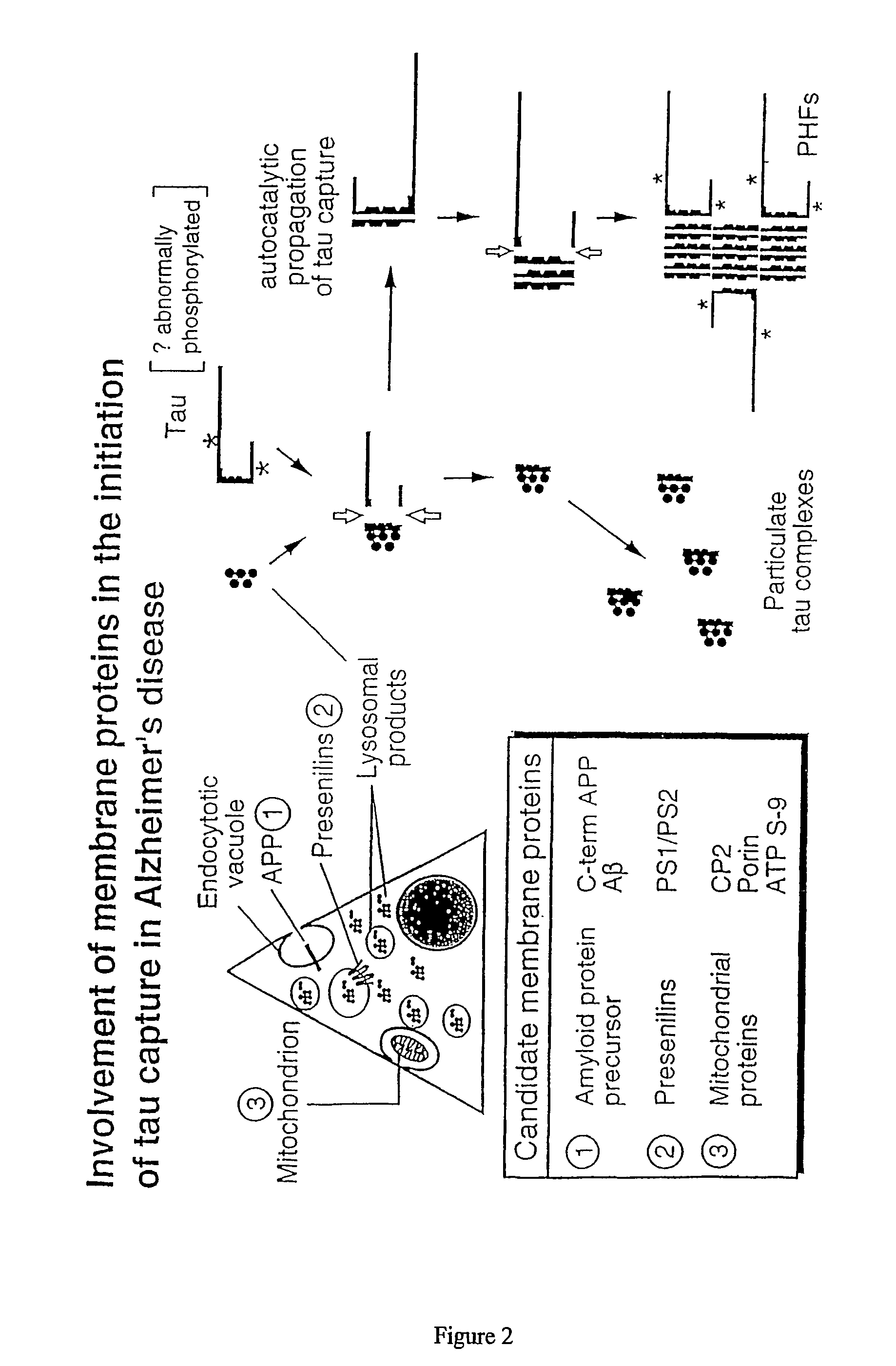 Materials and methods relating to protein aggregation in neurodegenerative disease