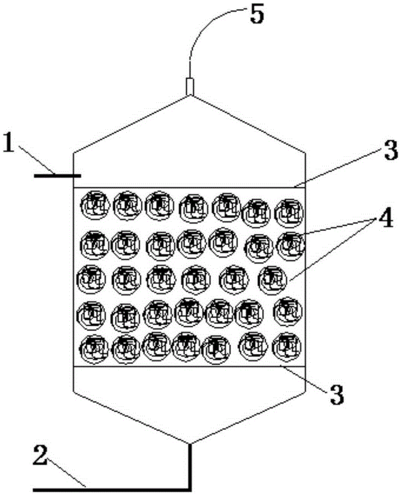 A method for quickly starting anaerobic ammonium oxidation using an anaerobic filter