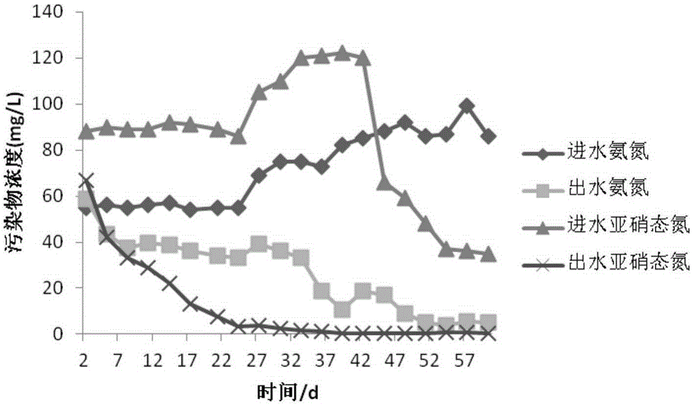 A method for quickly starting anaerobic ammonium oxidation using an anaerobic filter