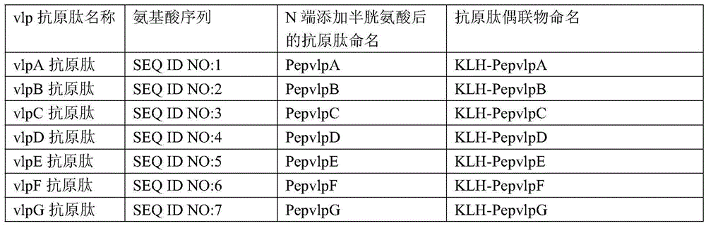 Composition for detecting mycoplasma antibody and application thereof