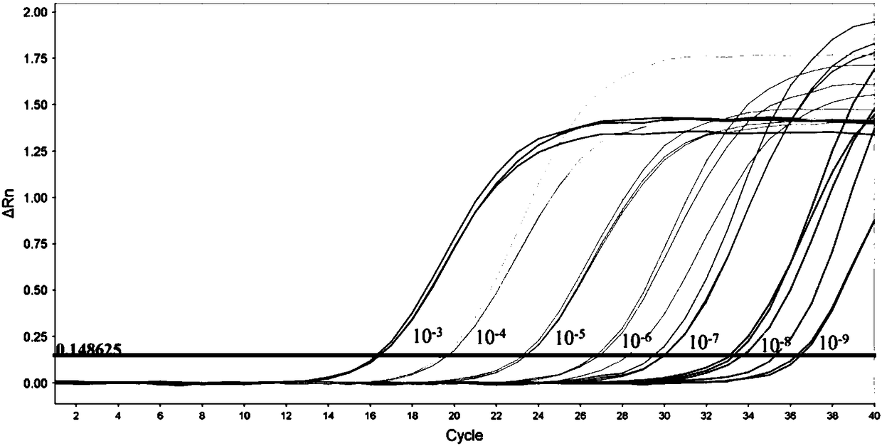 Nucleic acid, kit and method for simultaneously detecting three viruses of Congo fever virus, Copo fever virus type 1 and 2