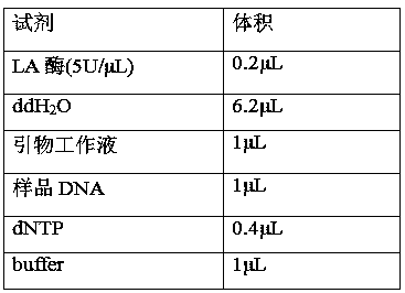 Method for determining gene mutation sites in children with pulmonary interstitial pneumonia