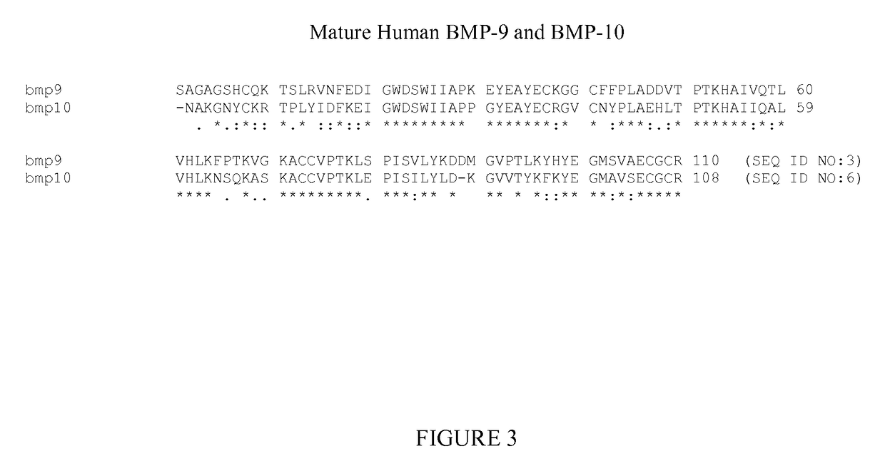 Methods for increasing red blood cell levels comprising administering BMP9