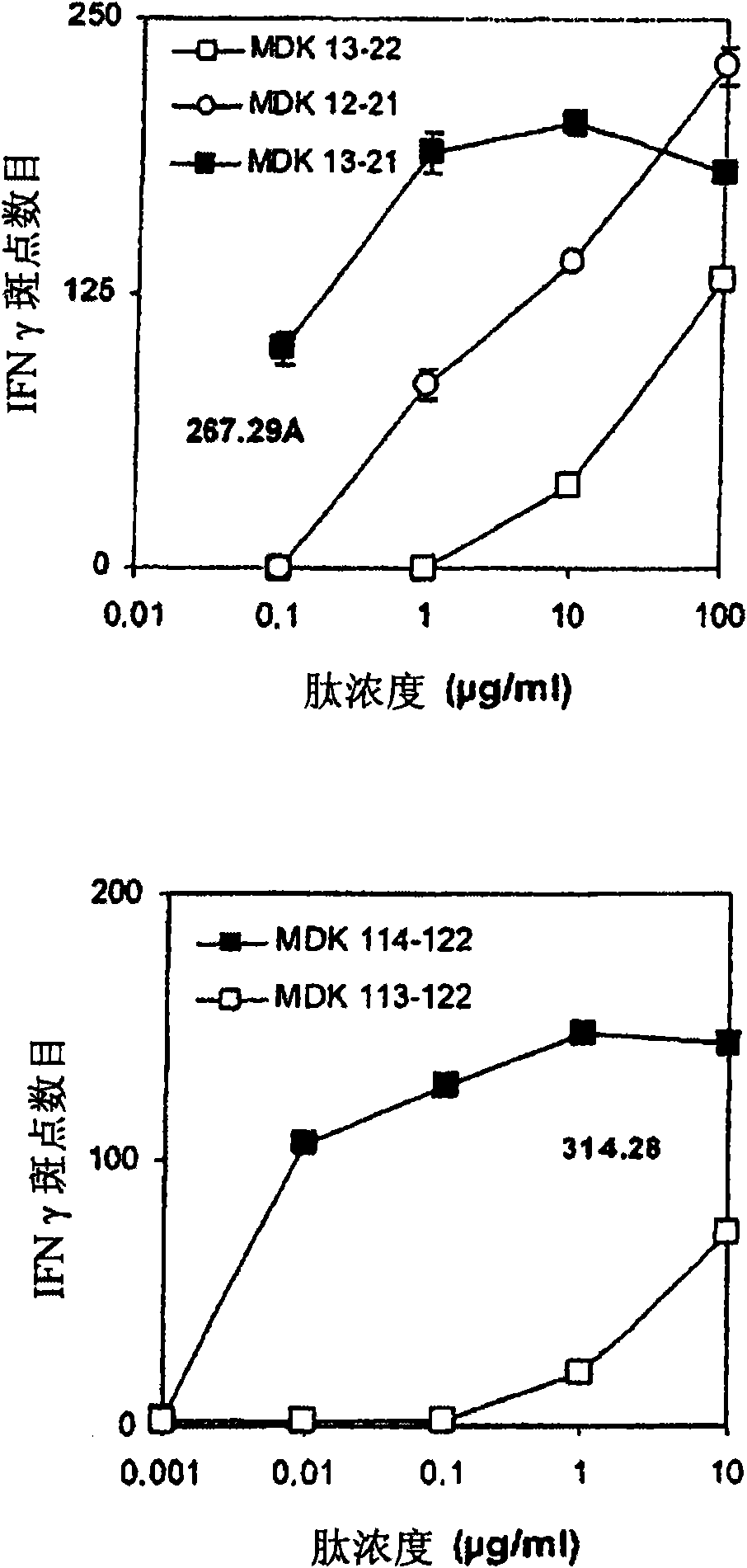 Immunogenic peptides derived from the midkine protein, as an anticancer vaccine