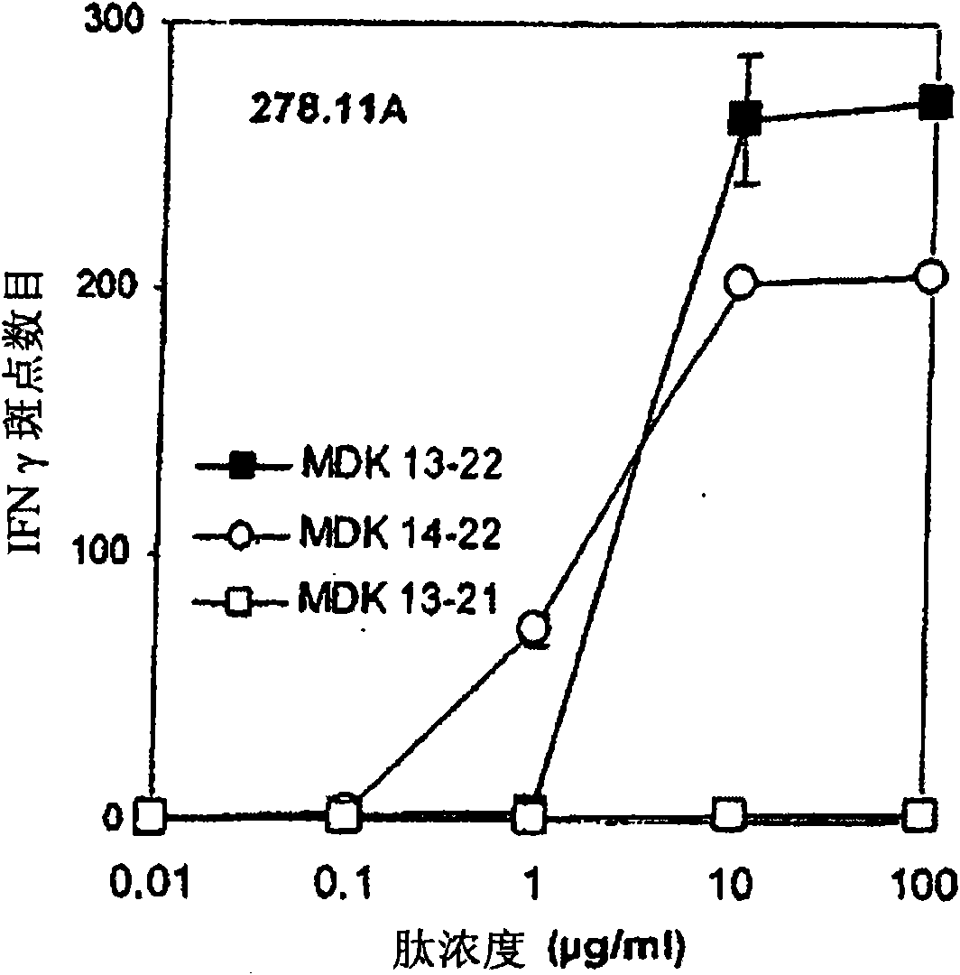 Immunogenic peptides derived from the midkine protein, as an anticancer vaccine