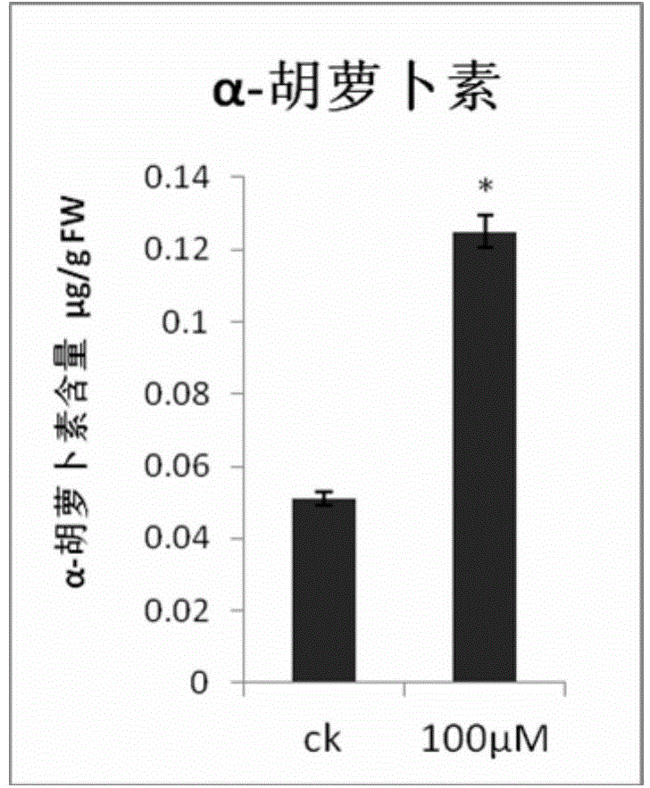 Method for increasing content of carotenoids in tomato fruits