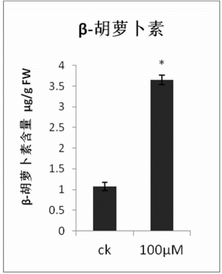 Method for increasing content of carotenoids in tomato fruits
