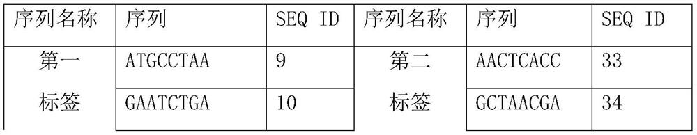 Kit and method for detecting hepatitis B typing and multi-drug resistance loci based on illumina sequencing technology