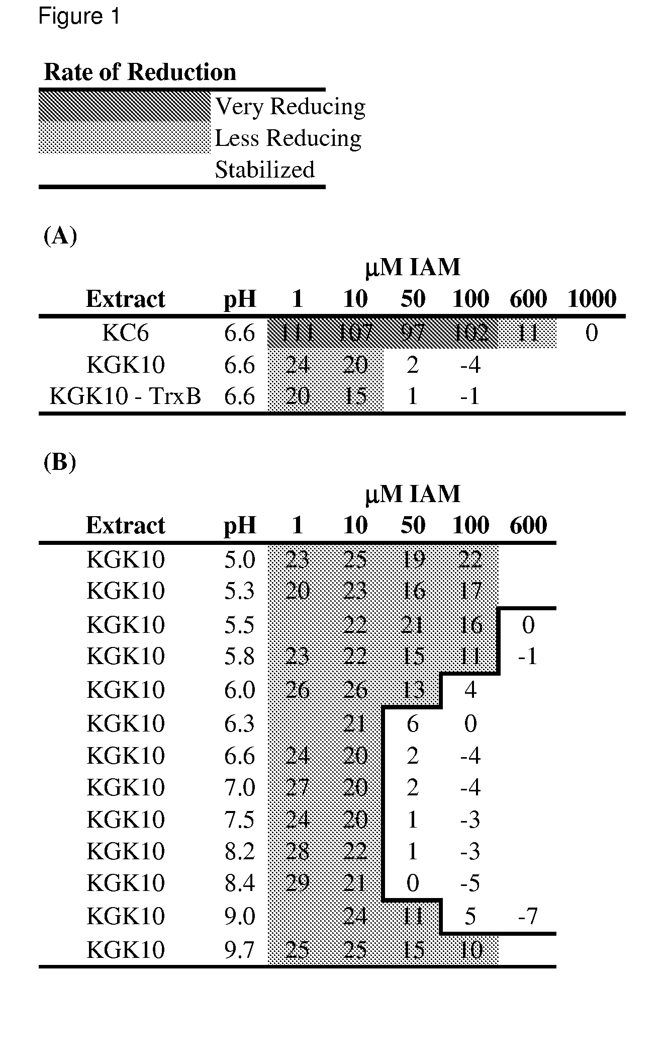 Enhanced cell-free synthesis of active proteins containing disulfide bonds