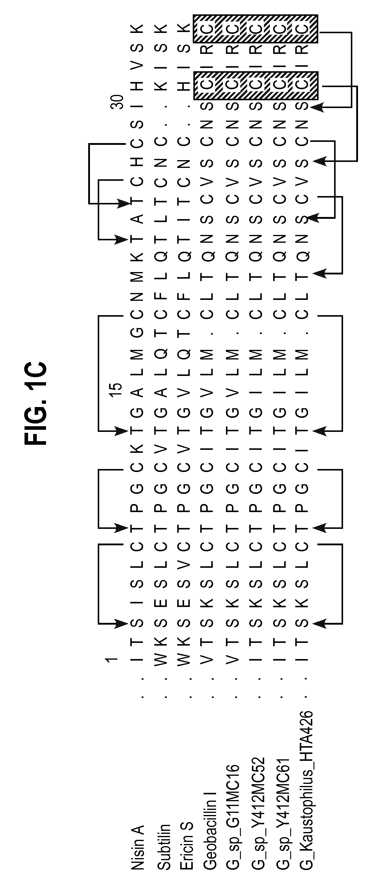 Class I and II lantibiotics from geobacillus thermodenitrificans