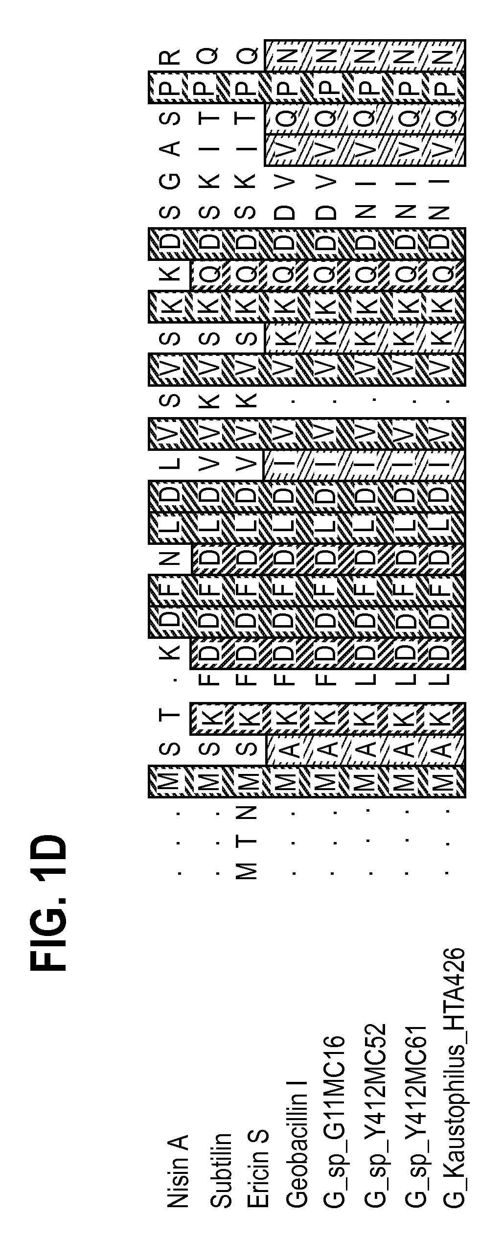 Class I and II lantibiotics from geobacillus thermodenitrificans