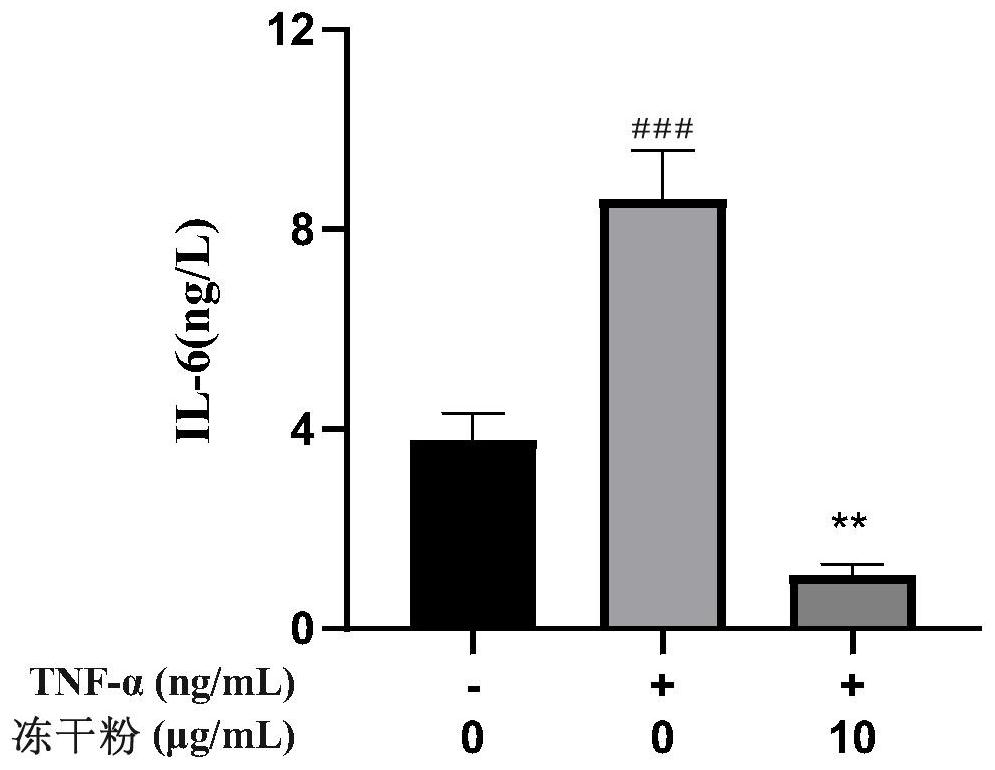 Traditional Chinese medicine composition for treating rheumatoid arthritis as well as preparation method and application thereof