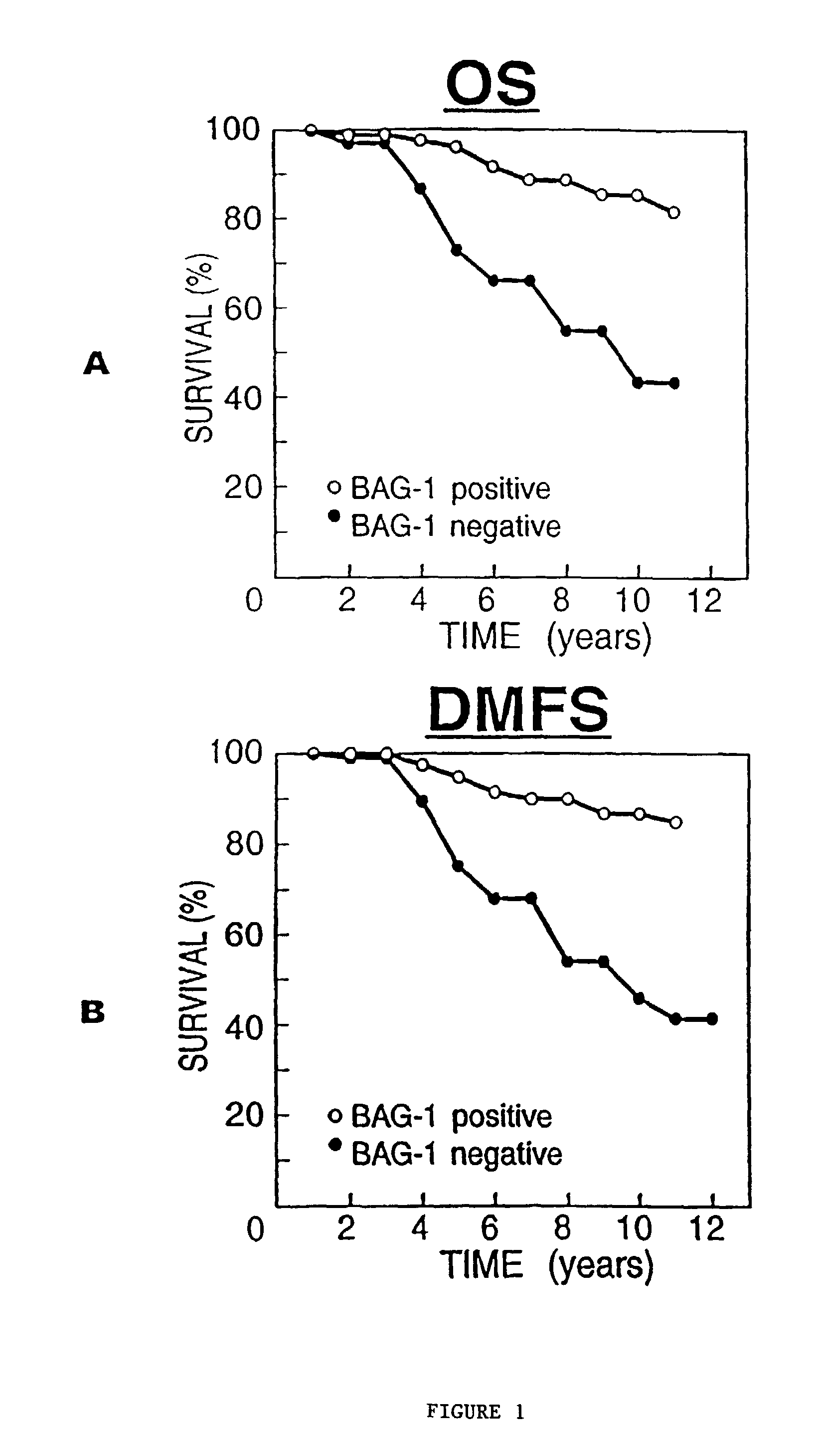 Method for determining the prognosis of cancer patients by measuring levels of bag expression