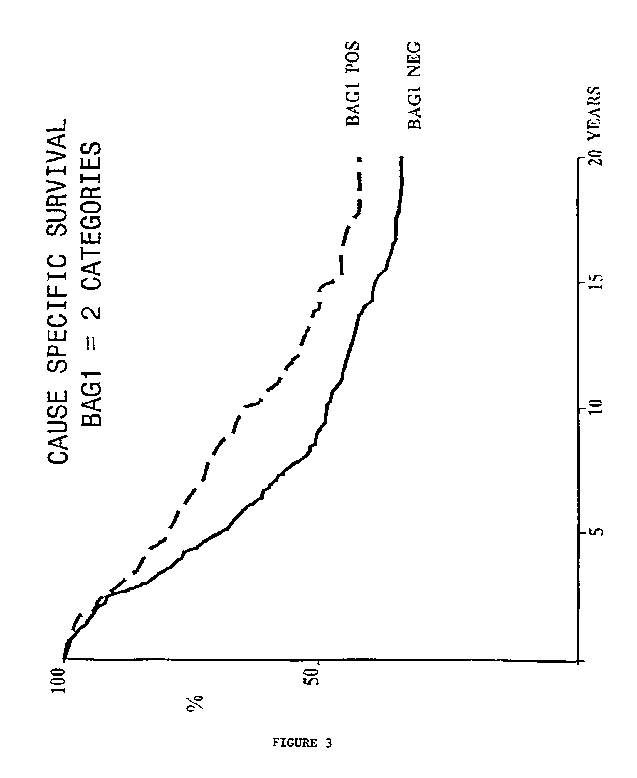 Method for determining the prognosis of cancer patients by measuring levels of bag expression