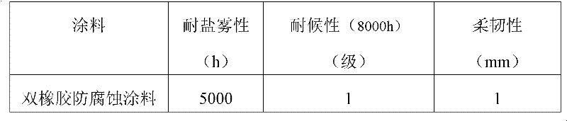 Double-rubber anti-corrosion coating and preparation method thereof