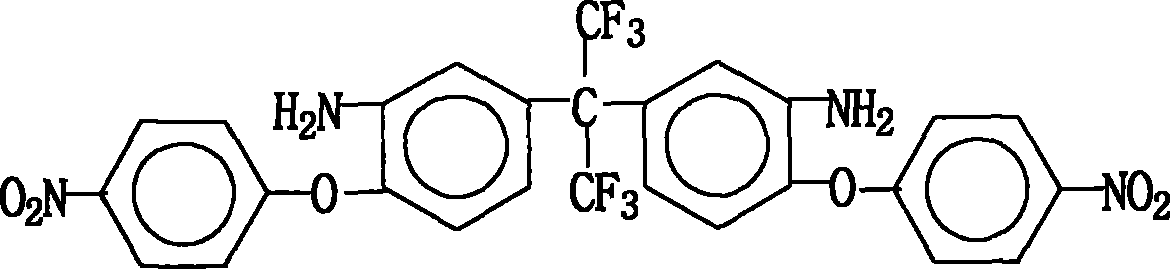 Method for preparing 2,2-dual [3-amido-4-(4-nitrophenoxy)phenyl group]-1,1,1,3,3,3-hexa-fluoropropane