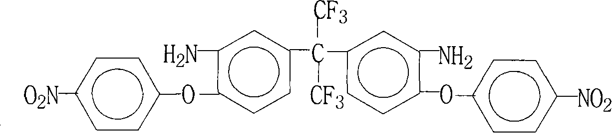 Method for preparing 2,2-dual [3-amido-4-(4-nitrophenoxy)phenyl group]-1,1,1,3,3,3-hexa-fluoropropane