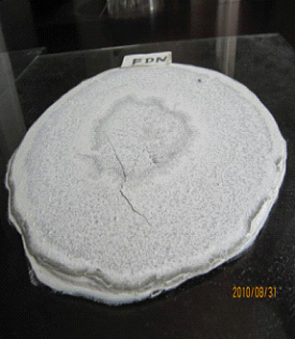 WHDF type concrete inorganic crack-resisting permeability-educing agent