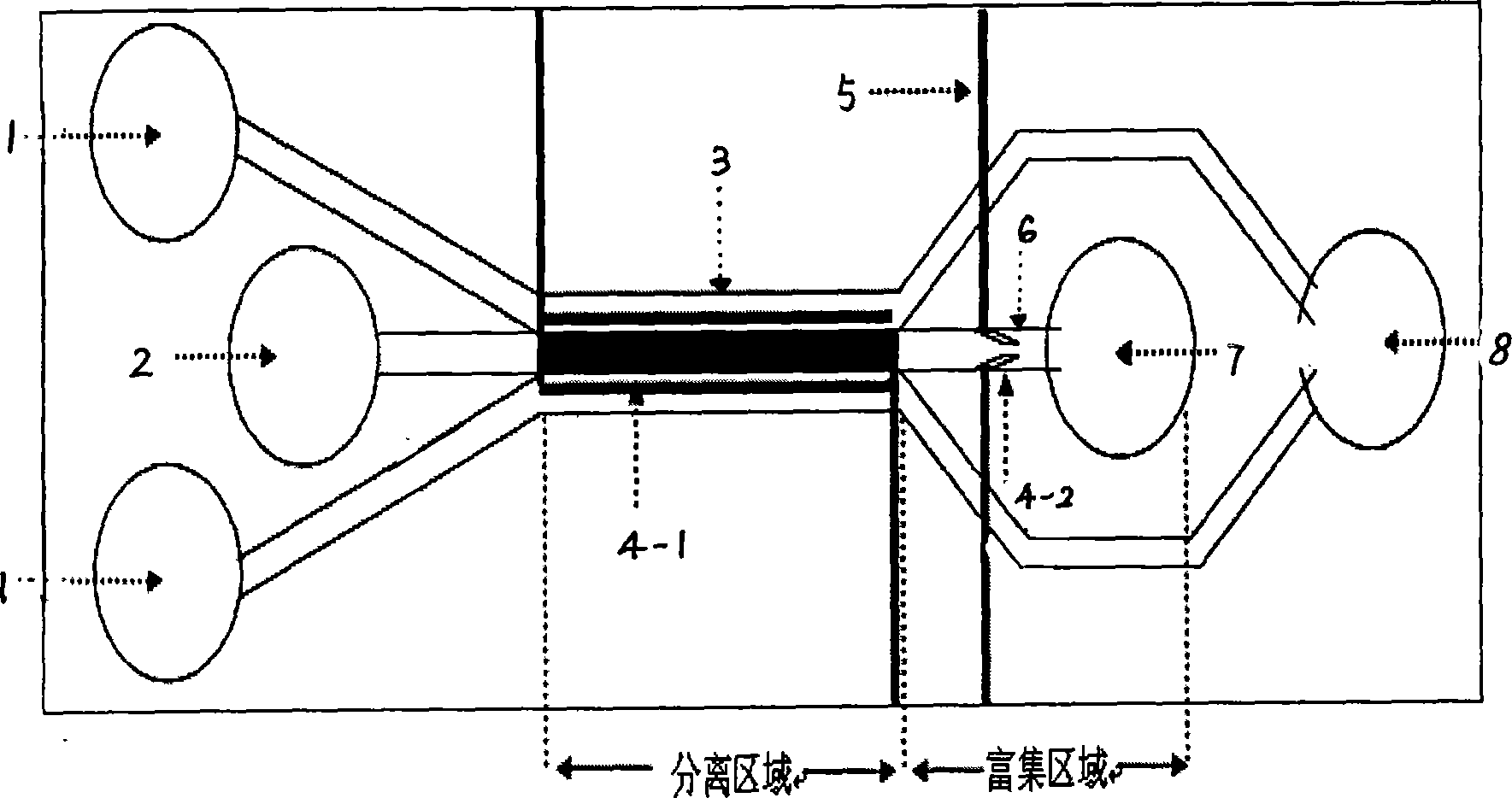 Combined splint microelectrode type micro-fluidic dielectrophoresis cell separation and enrichment chip