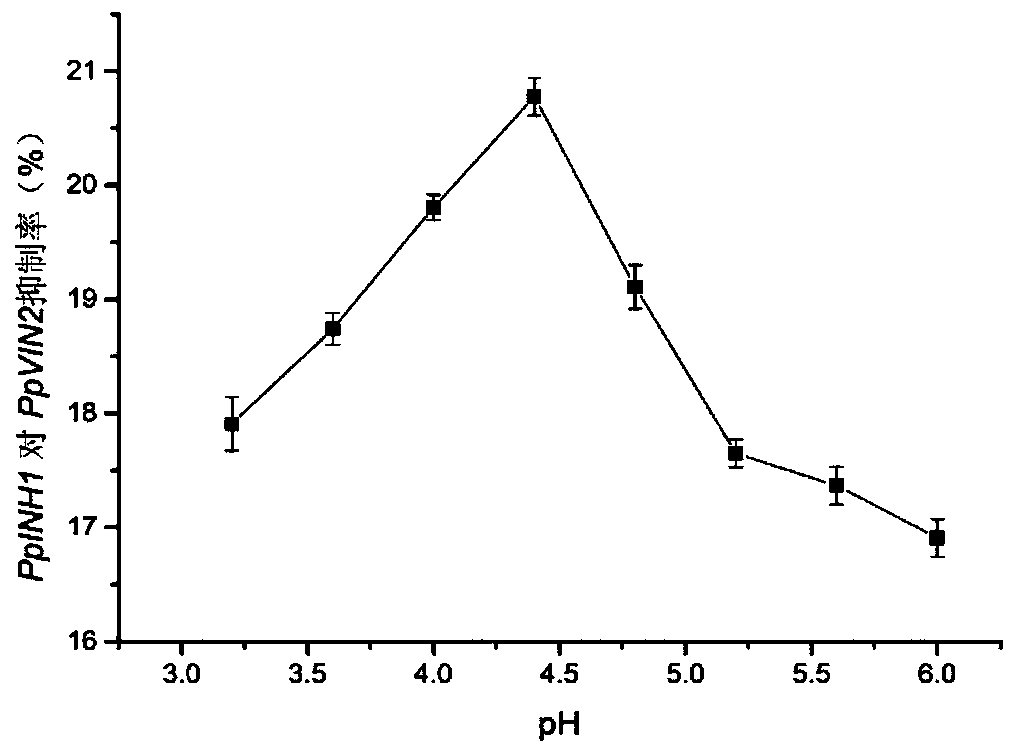 Peach fruit acid invertase inhibitor gene PpINH1, and encoded protein, cloning method and application thereof