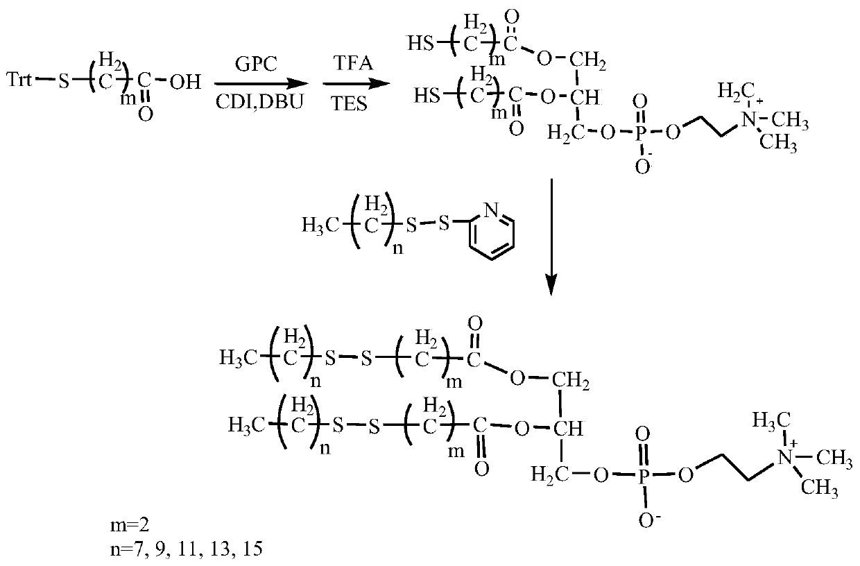 Phospholipid compound and preparation method thereof