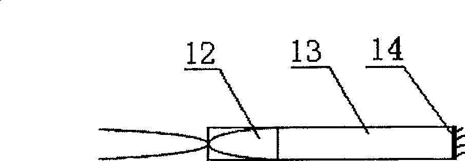 A measuring apparatus for optical fiber gas concentration