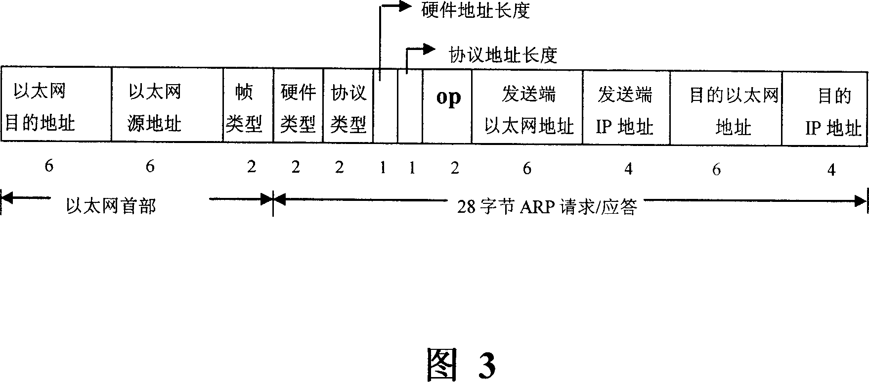 Method and network equipment for setting address analysis protocol table