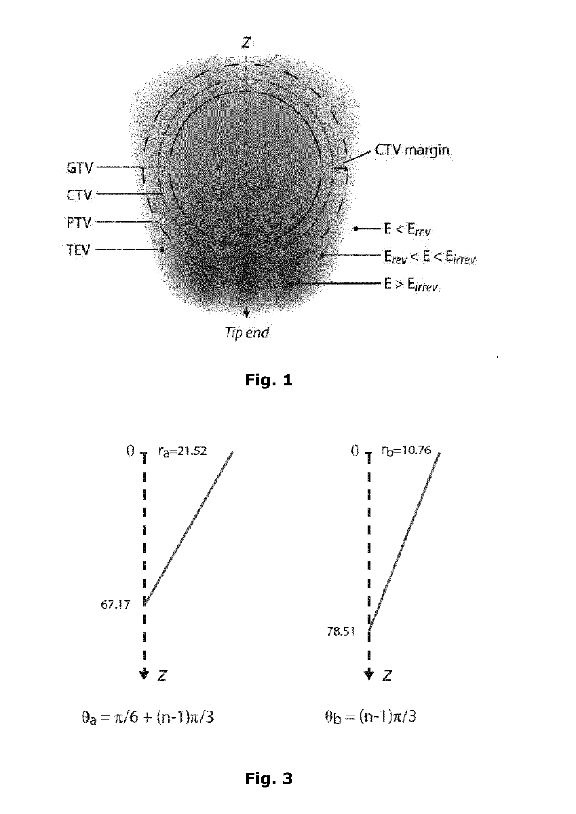 Method For Treating A Tissue Region With An Electric Field