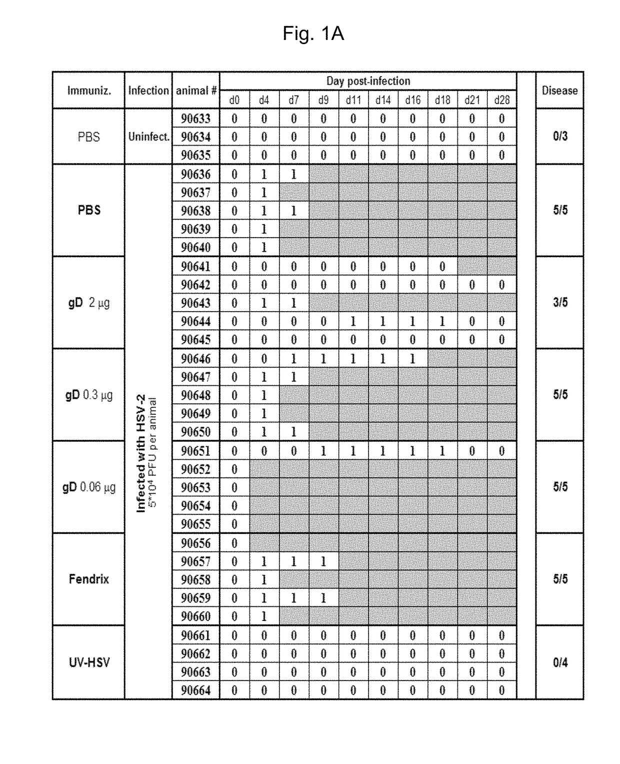 Herpes simplex virus vaccine compositions and methods of production and use thereof