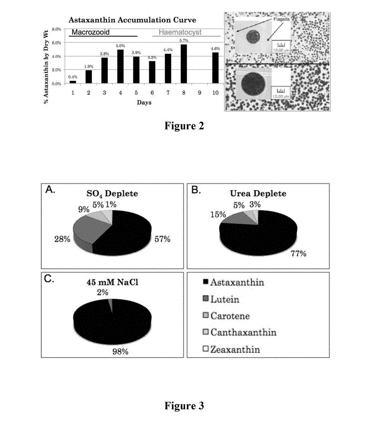 Heterotrophic production methods for microbial biomass and bioproducts