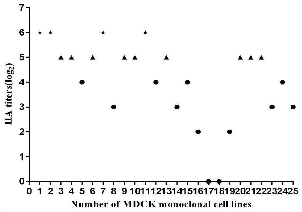 A kind of full suspension mdck cell and the method utilizing full suspension mdck cell to cultivate swine influenza virus