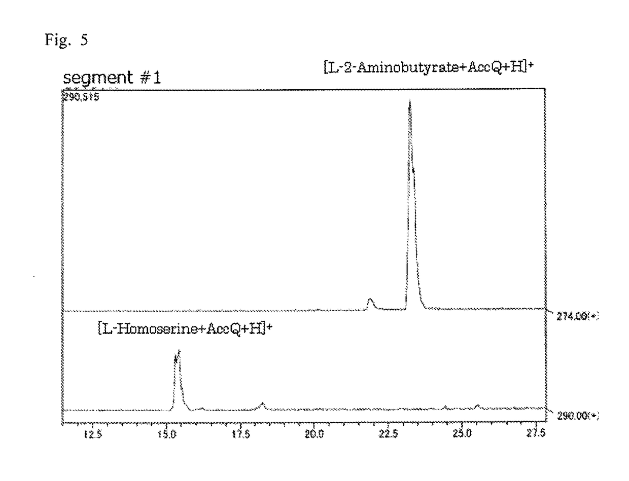 Pipecolinic acid 4-hydroxylase and method for producing 4-hydroxy amino acid using same