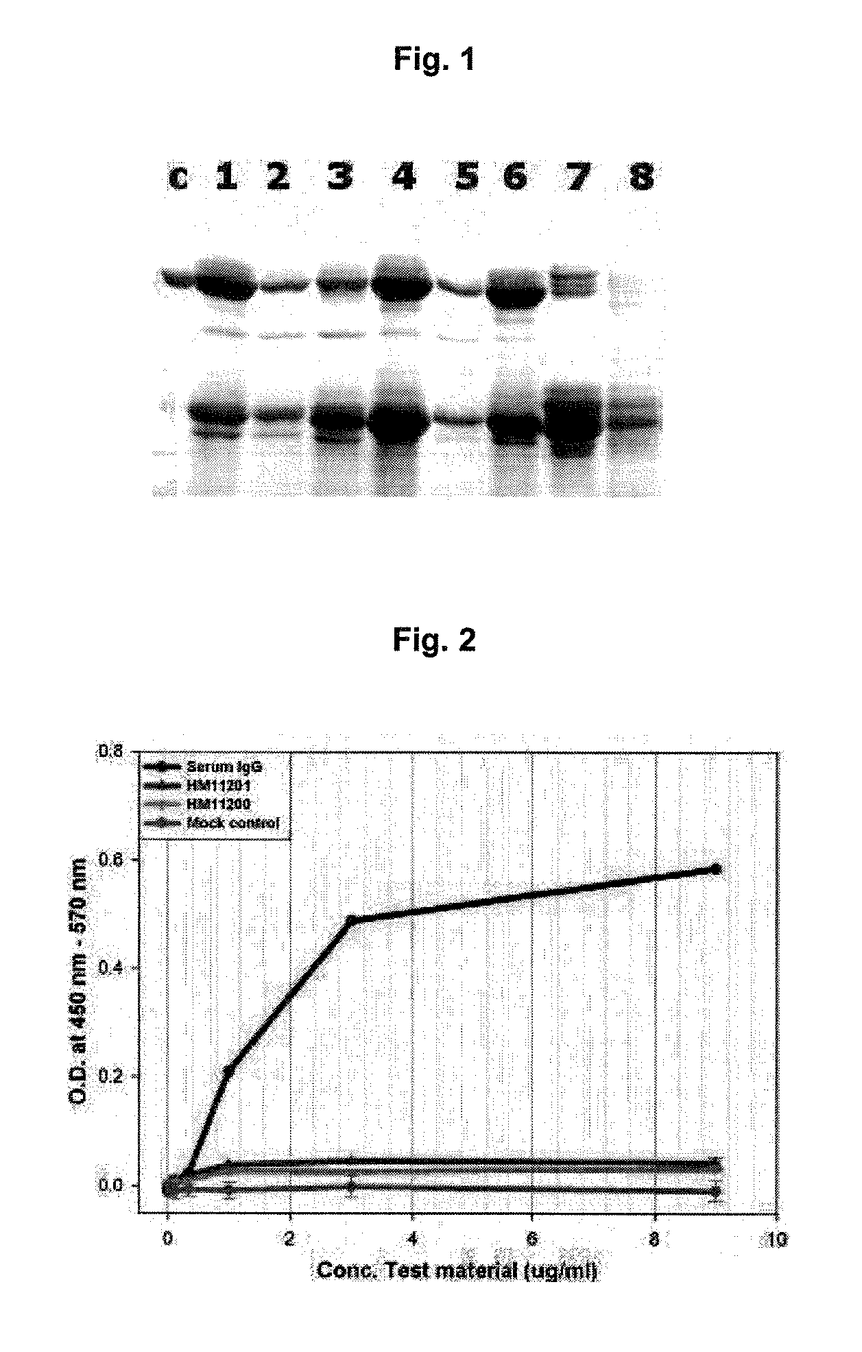 Method for the mass production of immunoglobulin Fc region deleted initial methionine residues
