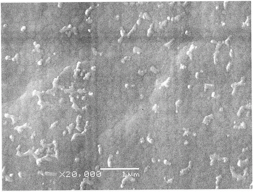 A Method for Preparation of Ceramic Bone Scaffold by Introducing Continuous Liquid Phase in Selective Laser Sintering